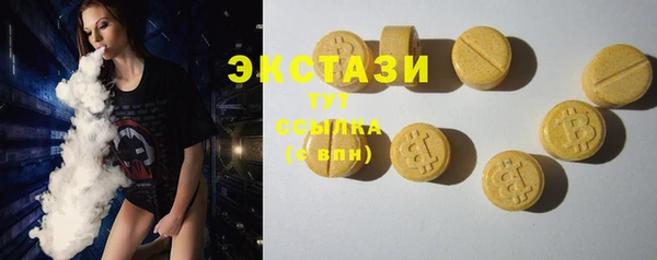 ECSTASY Алзамай