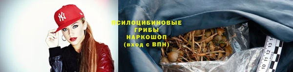 ECSTASY Алзамай