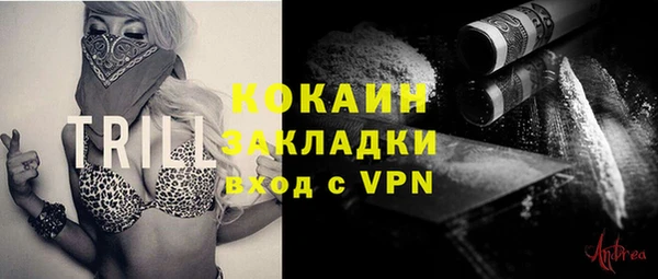 ECSTASY Алзамай