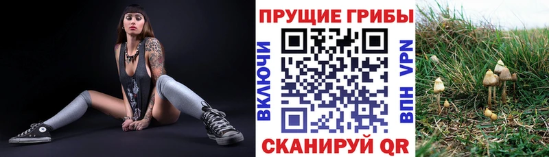 Псилоцибиновые грибы прущие грибы  наркотики  Жигулёвск 